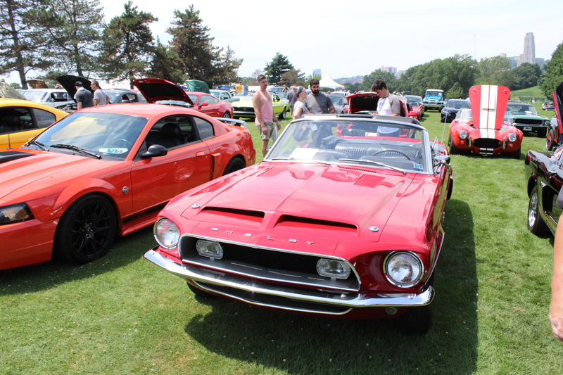 Illustration for article titled PVGP photos